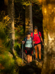 Hiking on the Zweälersteig, narrow hiking trail at the Thomashütte, Kandel Hiking on the Zweälersteig, narrow hiking trail at the Thomashütte, Kandel